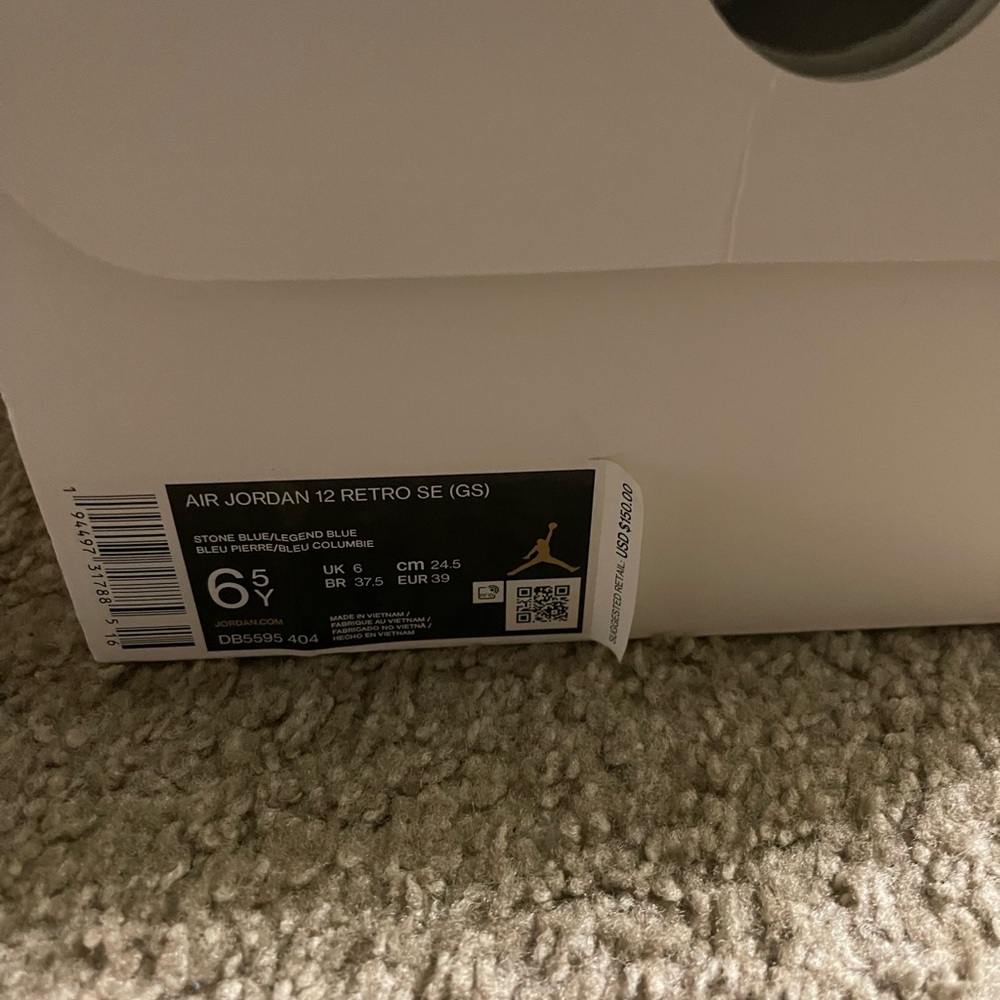 Air Jordan retro 12